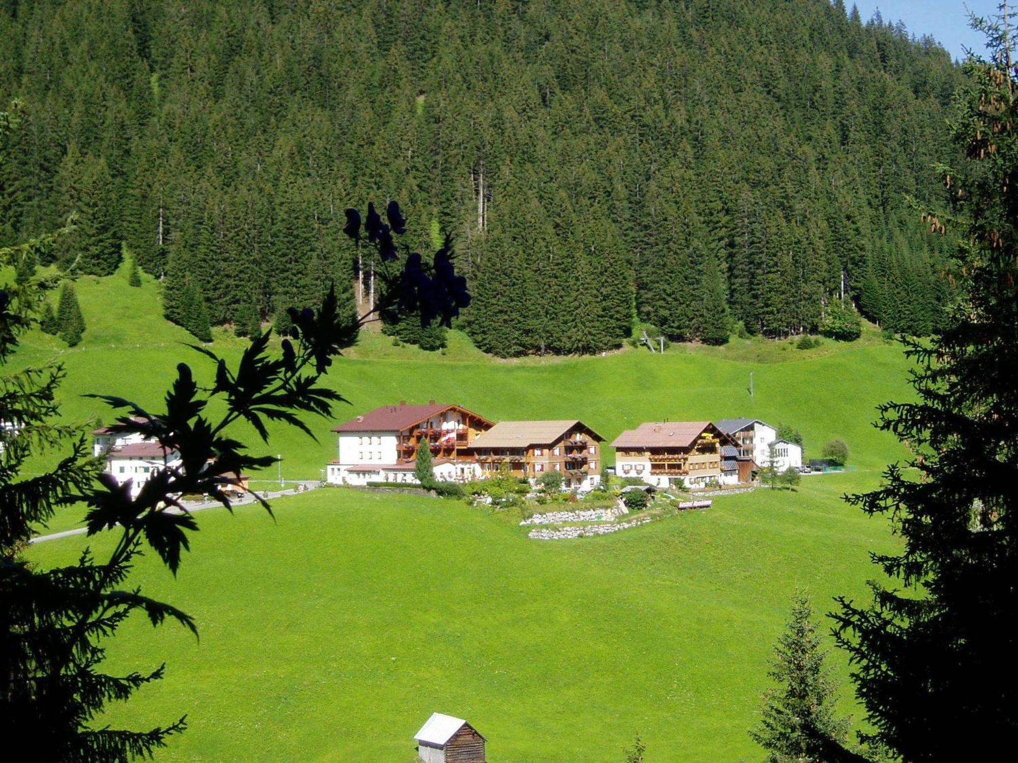דאמואלס Hotel Alpenblume מראה חיצוני תמונה